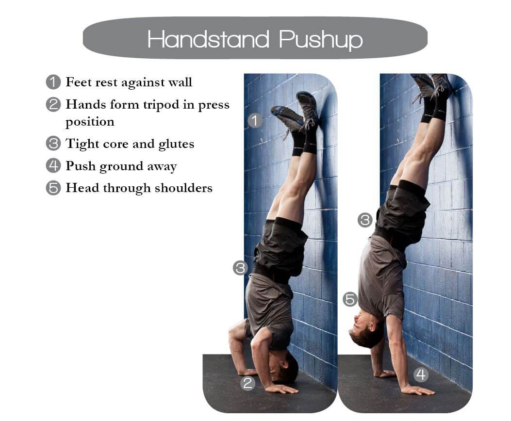 Photo description and primary points of performance for the handstand push-up
