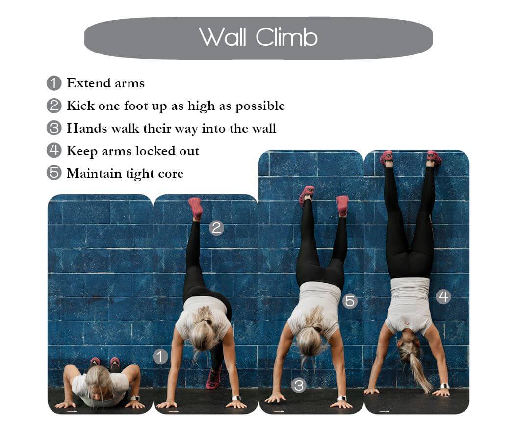 Description of Wall Climb setup and execution