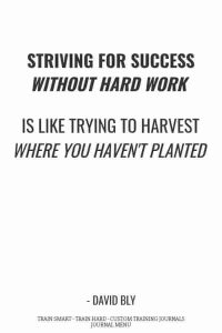 Striving for success without hard work - david bly fitness journal inspiration pinterest